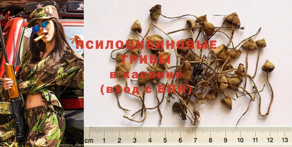 не бодяженный Арсеньев