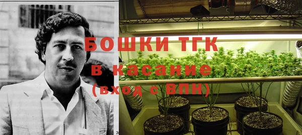 прущие крисы Армянск