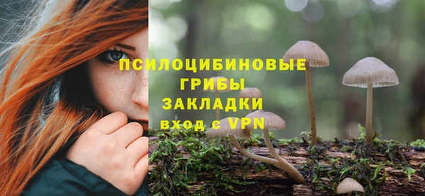 не бодяженный Арсеньев