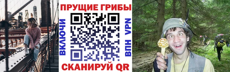 купить закладку  Балабаново  Галлюциногенные грибы прущие грибы 